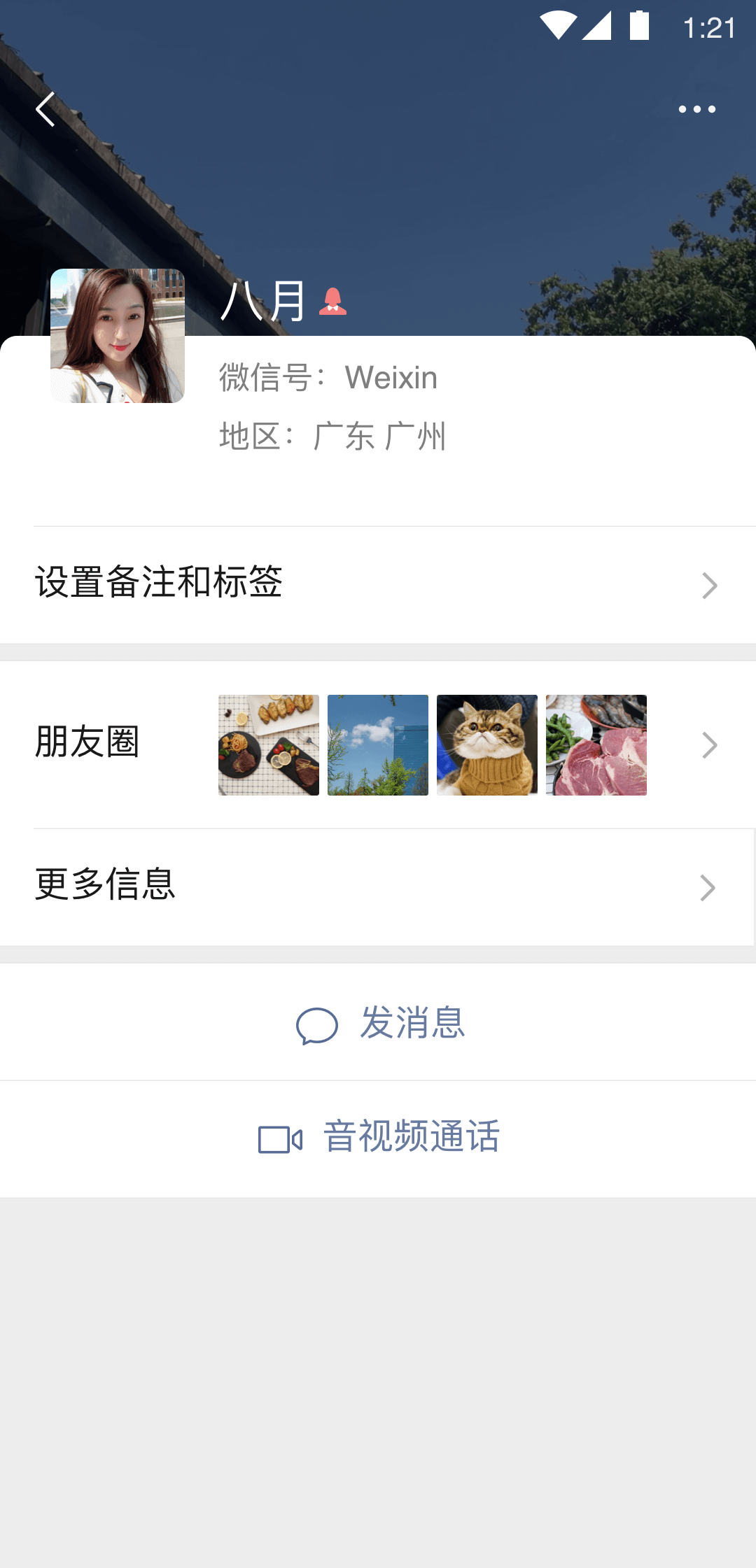 世界是个巨大的隐喻截图